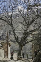 Image du Maroc Professionnelle de  Lemdinates un très beau village situé à 1600 m d’altitude dans le Haut Atlas dans la région d’Amizmiz, dans ce village la malnutrition continue ses ravages dans des proportions inquiétantes, 200 familles, environ y vivent, dont une grande proportion de femmes et d’enfants qui soufrent de la maladie goitre à cause du manque de sel iodé, dans ces contrées lointaines enclavés seulement  à 30 Km dans les montagnes au Sud de Marrakech. Mardi 14 Mars 2006. (Photo / Abdeljalil Bounhar)
